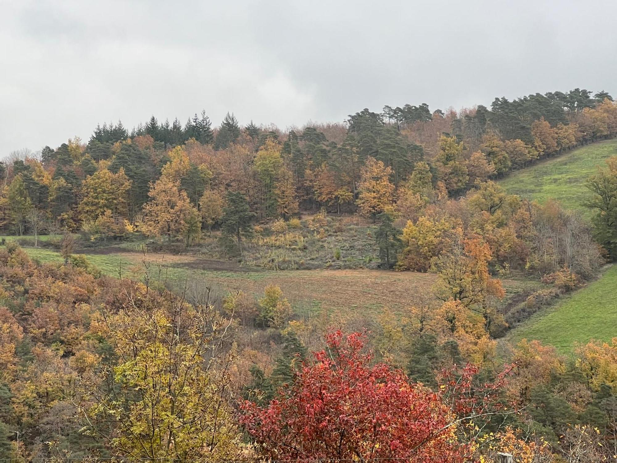Maison D'Hotes L'Escale Du Loup Blanc Maringes Bagian luar foto